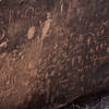 Petrified Forest petroglyphs at Newspaper Rock.