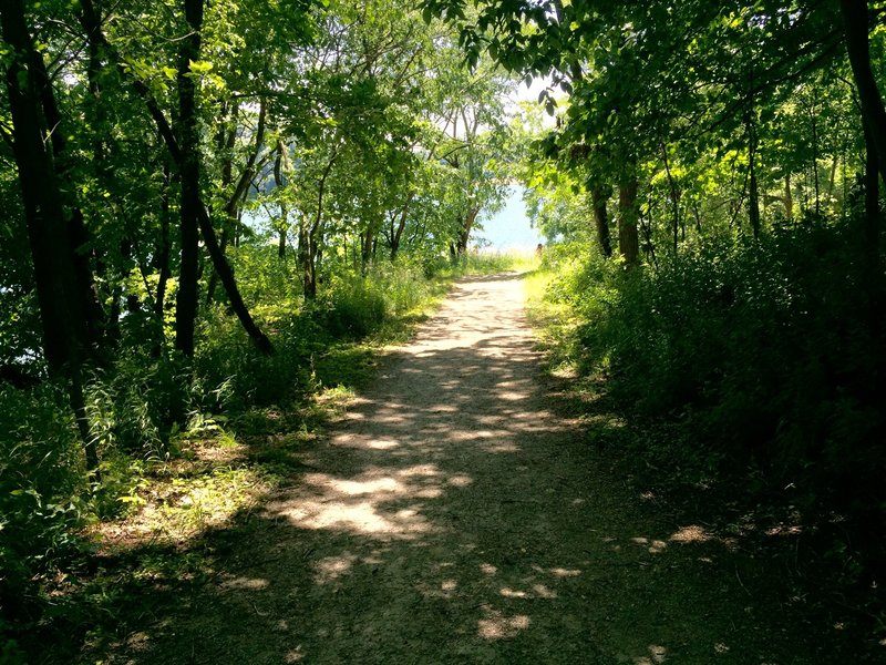 Lake Macbride Hiking Trails Beach To Dam Trail At Lake Macbride Sp.