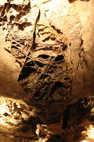 Boxwork can be seen on the cave ceiling.