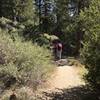 Traveling down the Burkhart Trail between Buckhorn Campground and Cooper Canyon.