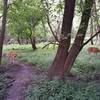 The trail is full of life and diversity.