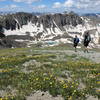 Descending Handies Peak through the flowers with stunning views of the American Peaks.