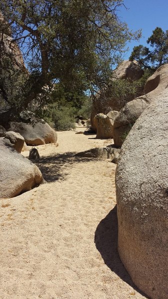 Nice area to explore the rocks and grab some shade!