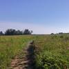The trail going through the wildflowers in the grasslands.