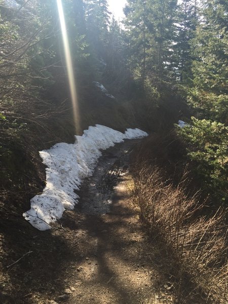 Snow pack on the trail in early springtime.
