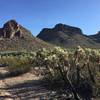 Take in the great views from the Roadrunner trail, but watch out for chollas on the north end of the trail.