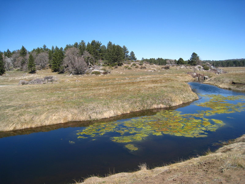 The marsh lands around Water of the Woods Spur.