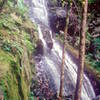 Hen Wallow Falls - courtesy of the National Park Service.