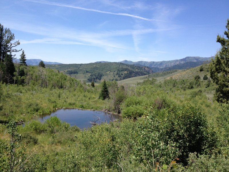 One of many beaver ponds along the trail.