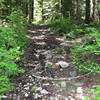 Barlow Trail - part of the original Oregon Trail.  Photo by Lyn Topinka