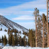 Wintertime is truly splendid spent along the Tahoe Rim Trail.
