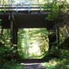 The bridge carrying Scappoose-Vernonia Highway. Continue underneath on the Columbia Forest Road to reach Vernonia.