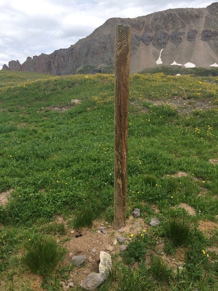 Hitching post mid-alpine zone.  Turn RIGHT here.