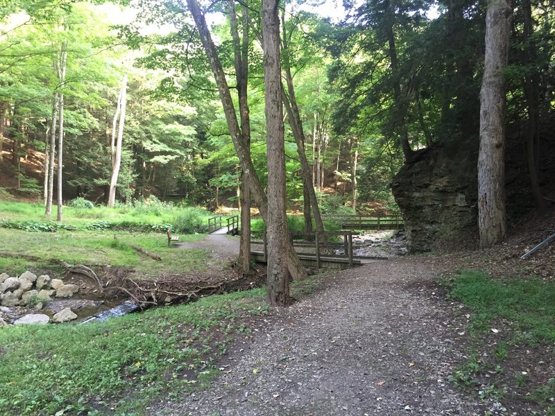 View back on trail at north entrance.  Creek, wooden bridges, and gravel is typical for trail.