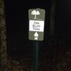 This is a directional sign pointing the way to the Oak Bluff Trail going west from the Alum Hollow Trail.