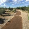 Mica View Trail got a makeover :) Hard pack trail without toe snubbers!