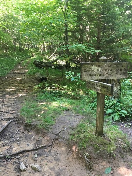 Trillium Gap: Intersection of Trillium Gap Trail and Brushy Mountain Trail. Mt LeConte 3.6 miles/Roaring Fork Rd 2.8 miles