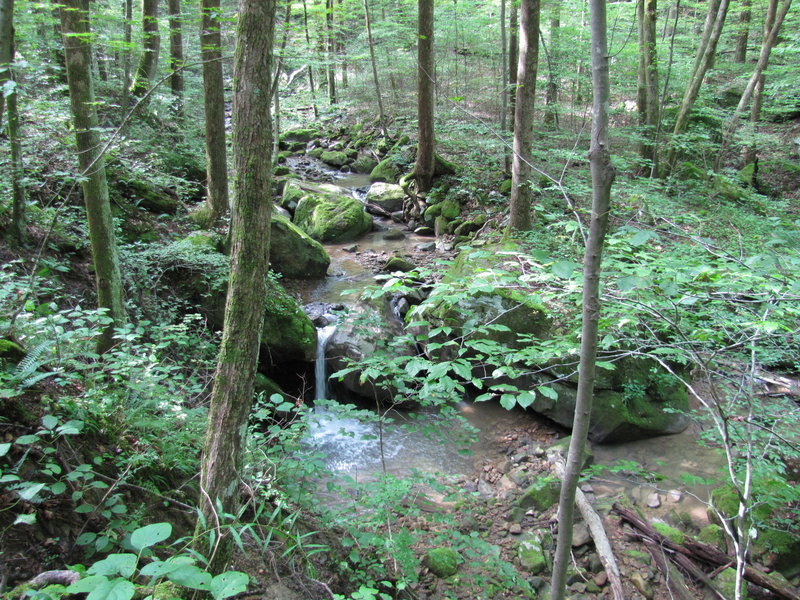 Small creek near South Old Mac Trail