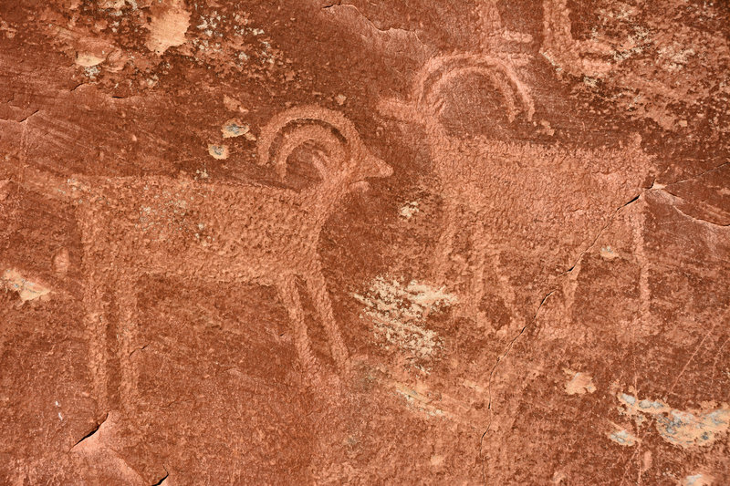 Zoomed in view of Petroglyphs, Capitol Reef National Park. Photo Credit: NPS/Chris Roundtree.