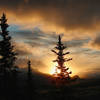 An Alaskan Dawn in Denali National Park. with permission from walkaboutwest *No Commercial Use