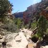 Rough Canyon Trail.