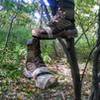 Old Boots Hanging: Appalachian Trail - Fox Gap PA to Columbia Gas Pipeline