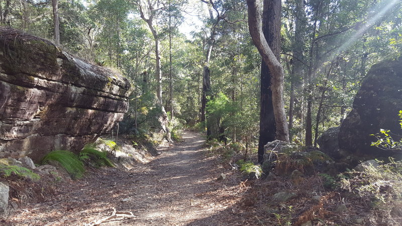 Within the first 5km of Griffin's Fire Trail.