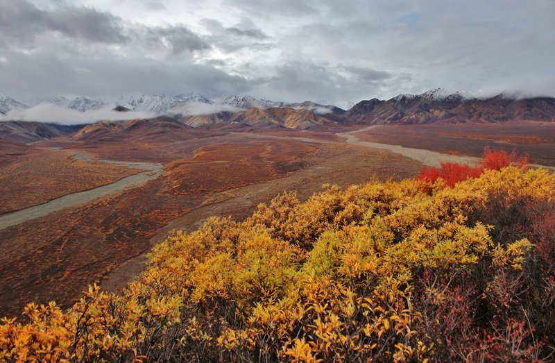 Polychrome Overlook, Healy, Alaska