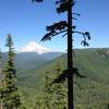 Stunning views of Mt. Hood reward hikers on this steep trail. Photo by Jesse Aszman.