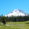 Crosstown Trail near the trailhead at Summit Ski Area and Sno-park provides great views of Mt. Hood.