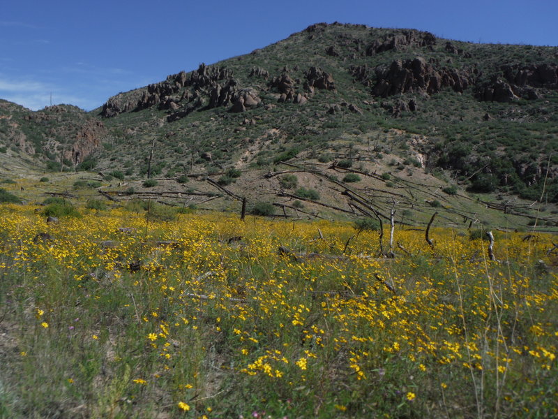 Barranca Mesa Guaje Mtn Guaje Canyon Running Trail Los Alamos New Mexico