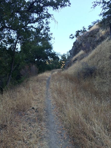 Anza Trail Hiking Trail, San Martin, California