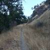 Grapevine Trail.
