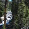 The trail rises above the Dana Fork of the Tuolumne River in the Spring.