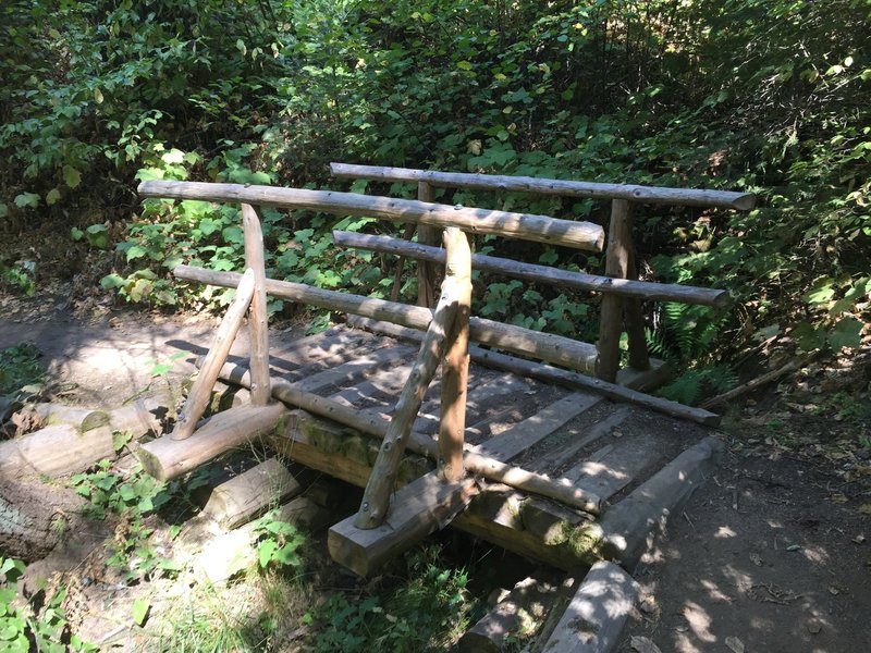 Small bridge over a side inlet into Lewis Creek