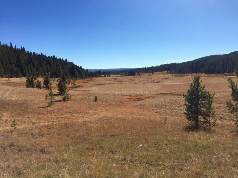 delacy creek trail yellowstone