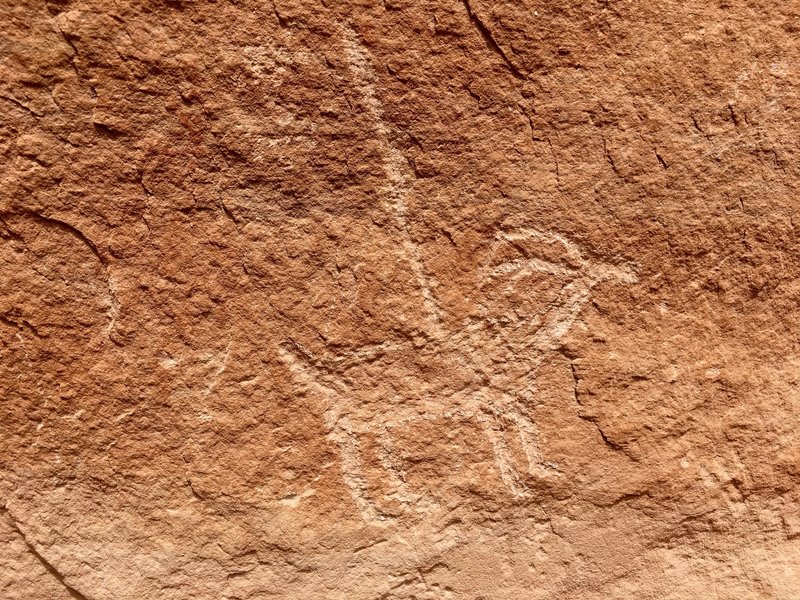 Pictograph of a speared antelope... or something.