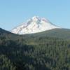 Mt. Hood view from Flag Mountain Trail. Photo by USFS.