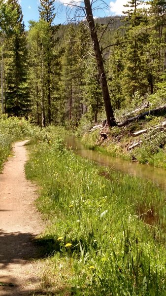 The trail along a stream.