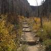 Beginning part of the trail going up.