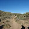 The Cinch Trail in the Lousley Hills at McDowell Mountain Regional Park. with permission from Maricopa-County-Parks