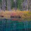 Little Crater Lake in fall with willows turning. Photo by Gene Blick.