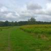Singletrack on Poor Creek Trail with Taylor Farm/Site of Fort Morton.