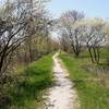 Spring on the Old Rail Trail.