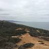 Overcast day in Torrey Pines State Natural Reserve.