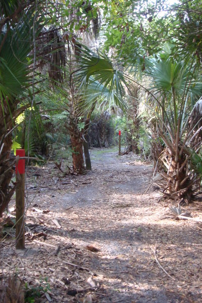 The Caracara Prairie Preserve Red Trail showing trail markers.