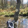 Enjoying a sunny day near the water's edge.