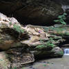 Old Man's Cave in Hocking Hills.