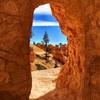 Bryce Canyon National Park.
