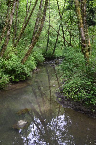 Tryon Creek